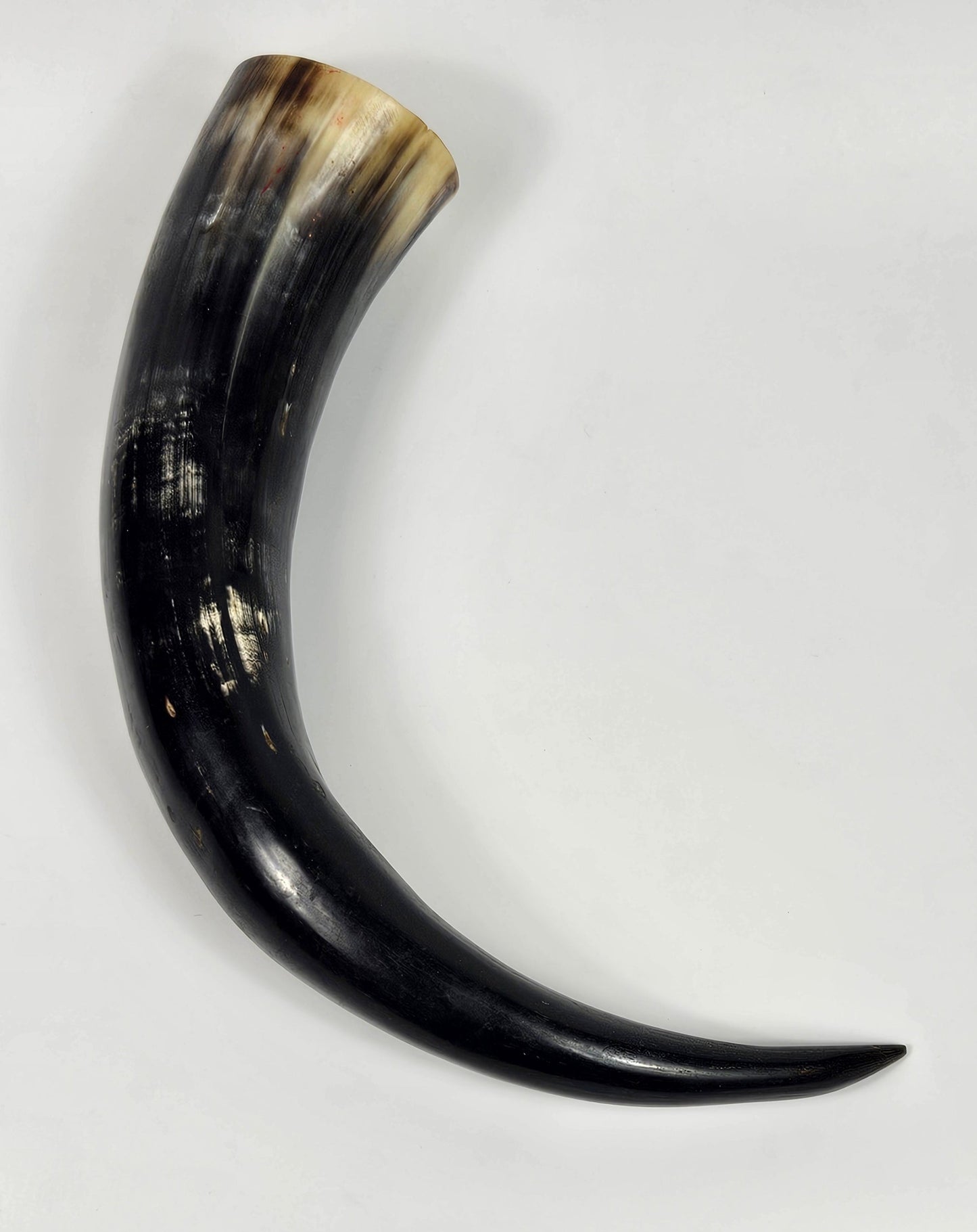 Vintage Large Viking Drinking Horn