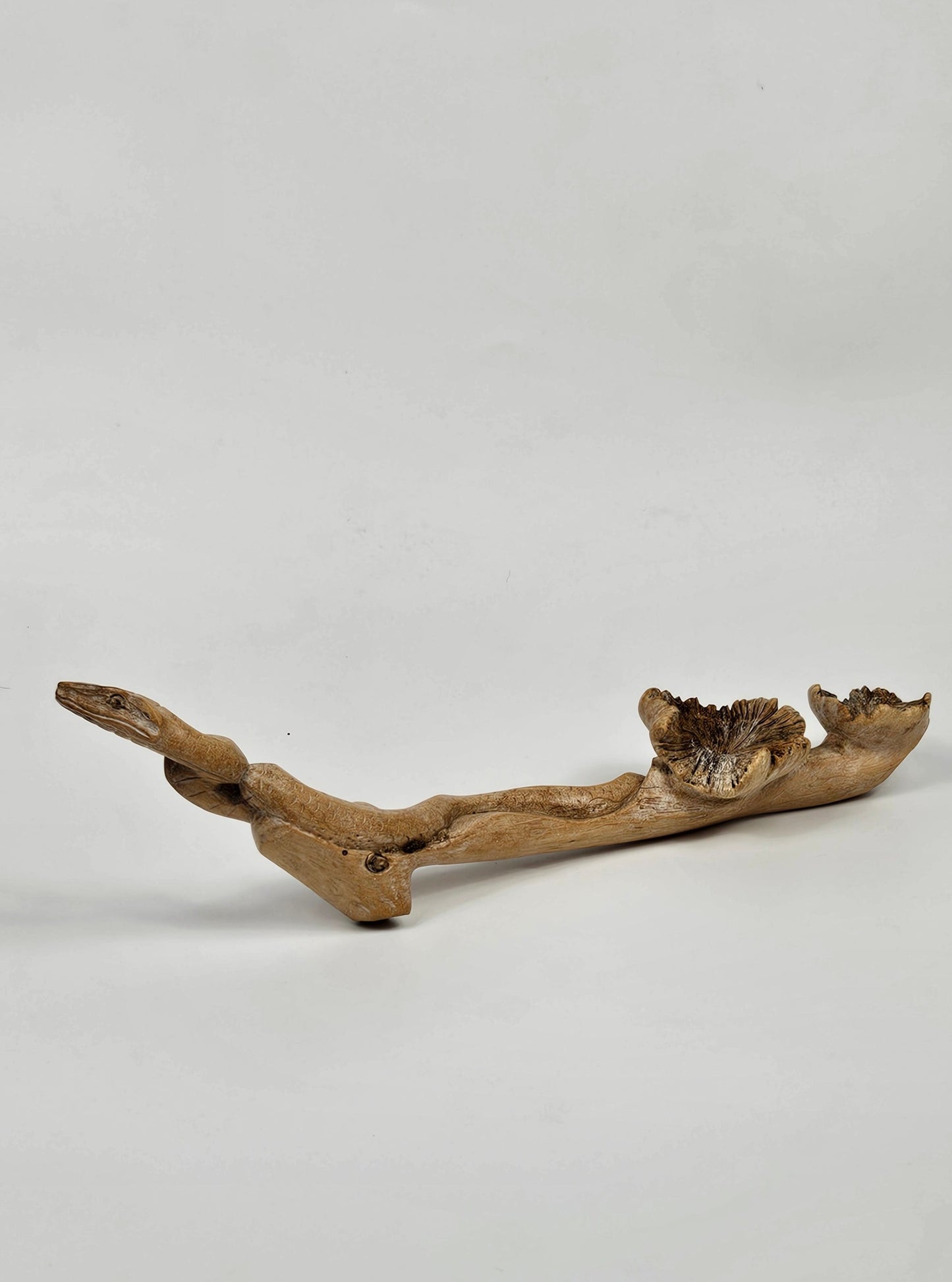 Fantastic Vintage Hand carved Wooden Snake with mushrooms on the tree branch