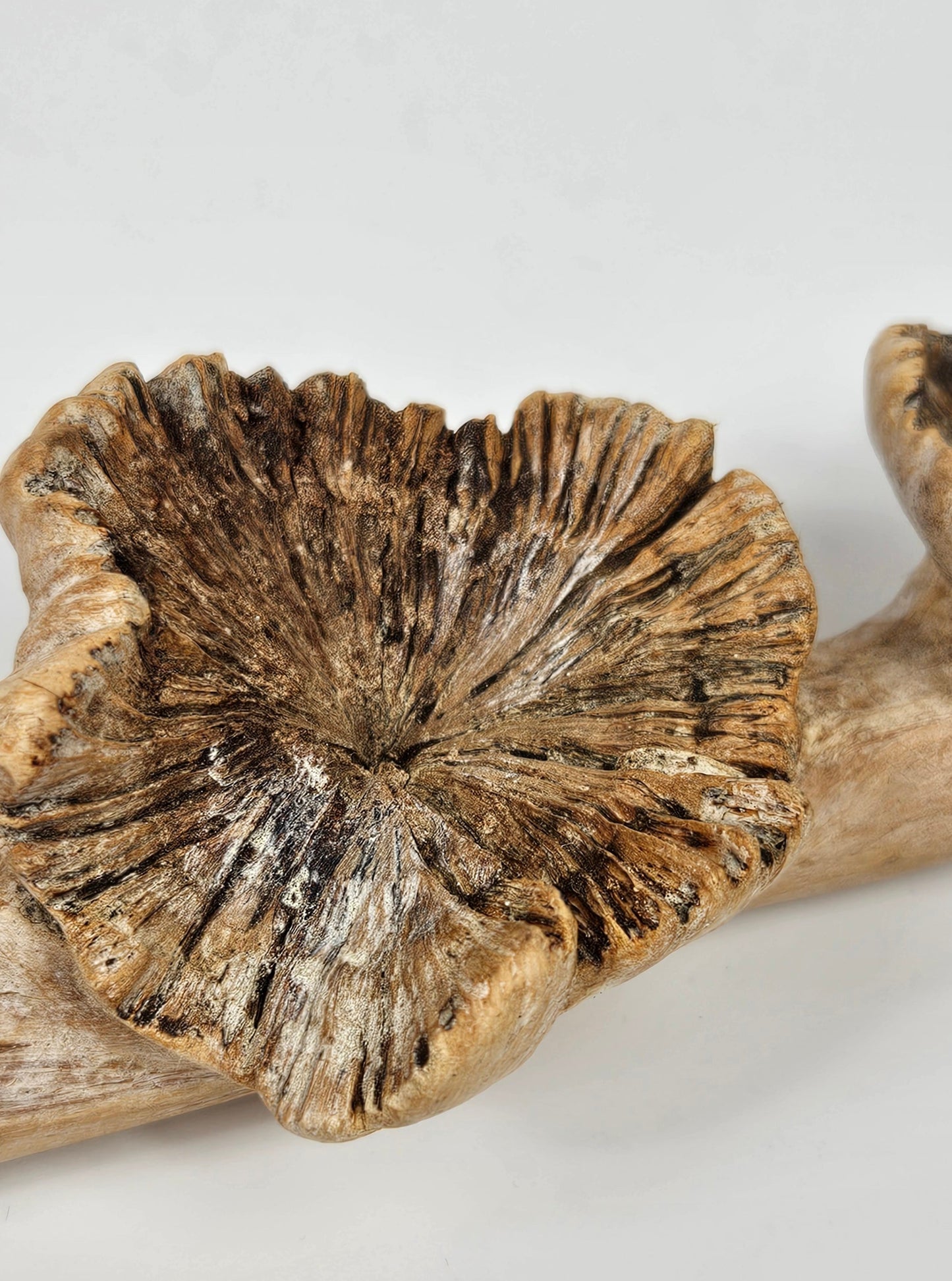 Fantastic Vintage Hand carved Wooden Snake with mushrooms on the tree branch